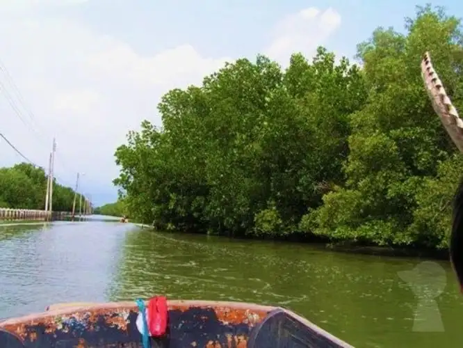 Bangkok Boat & Food Tour