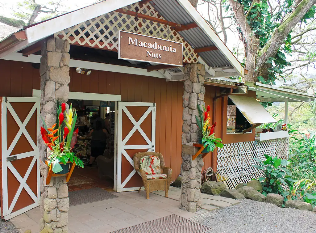 Oahu Sightseeing And Snorkel Tour