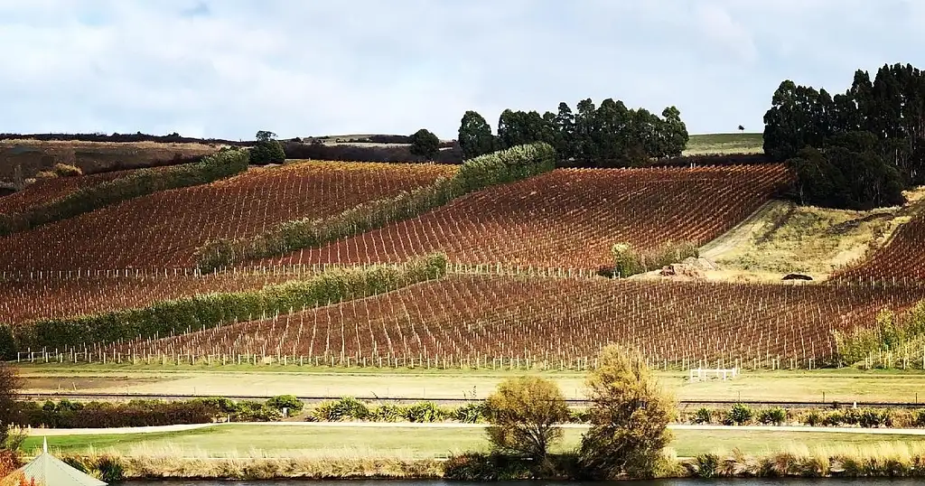 Tamar Valley Wine & Gin Tour