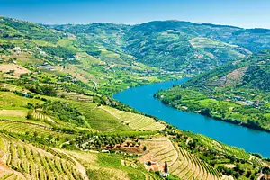 Douro Valley Tour | Wine tasting, Lunch and River Cruise