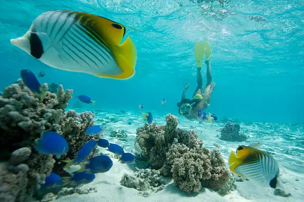 Sian Ka'an Discovery | Half Day Tour
