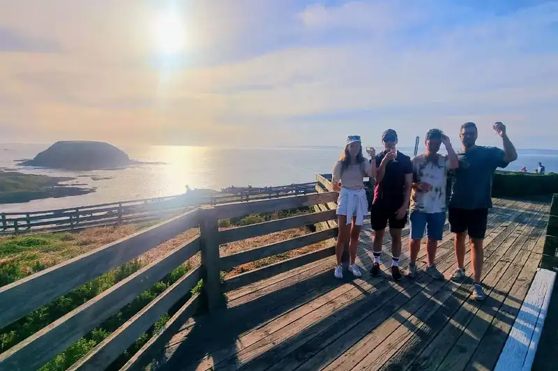 Phillip Island Wine, Wildlife, & Penguins Tour from Melbourne