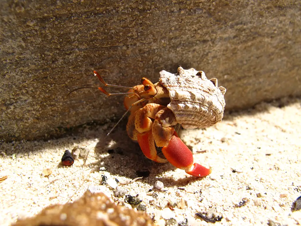 Isla Contoy Tour From Cancun