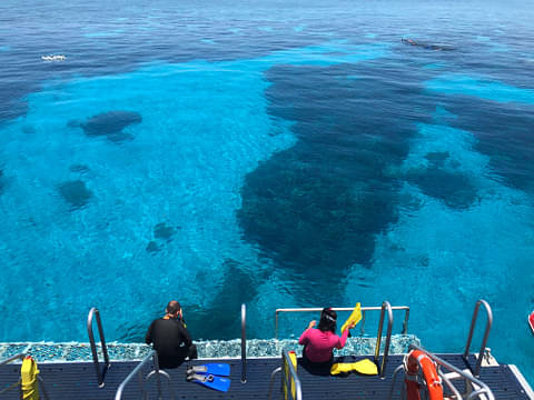 Dreamtime Dive & Snorkel Deals