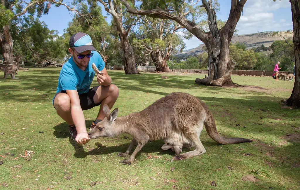 4 Day Great East 4 Tour - Launceston to Hobart