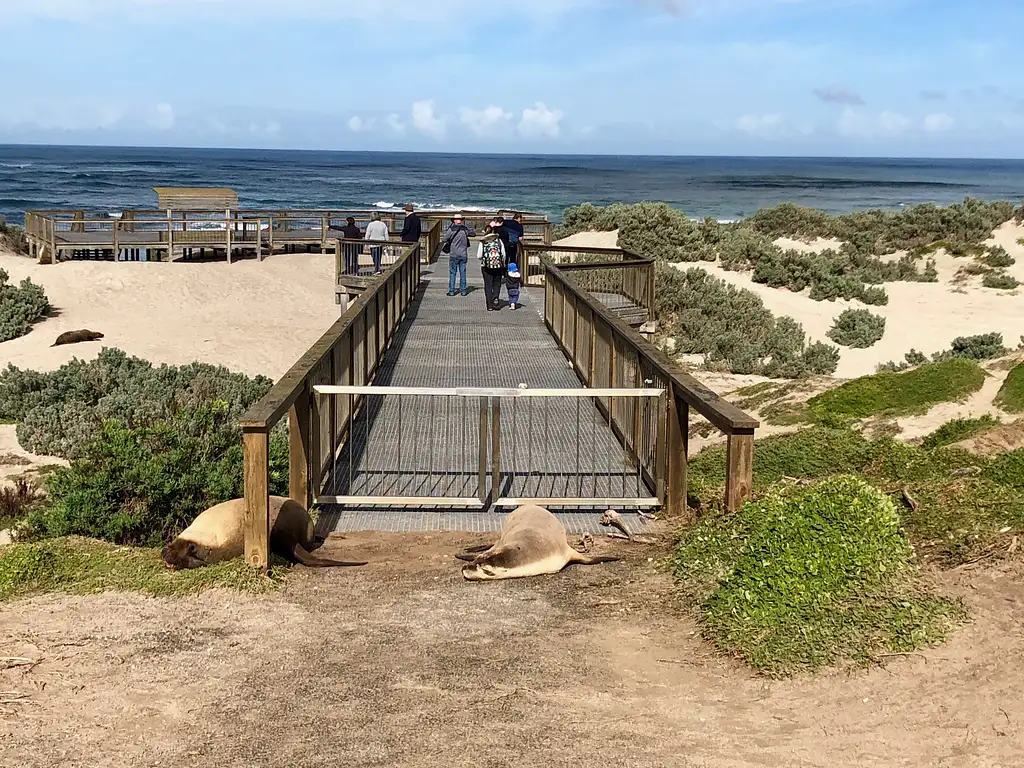 Best of Kangaroo Island Scenic 4WD Tour