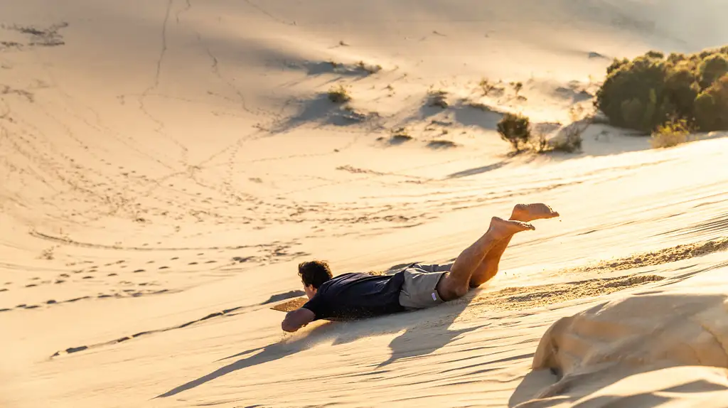 Desert Safari Day Cruise with option to upgrade to Dolphin Feeding | Moreton Island