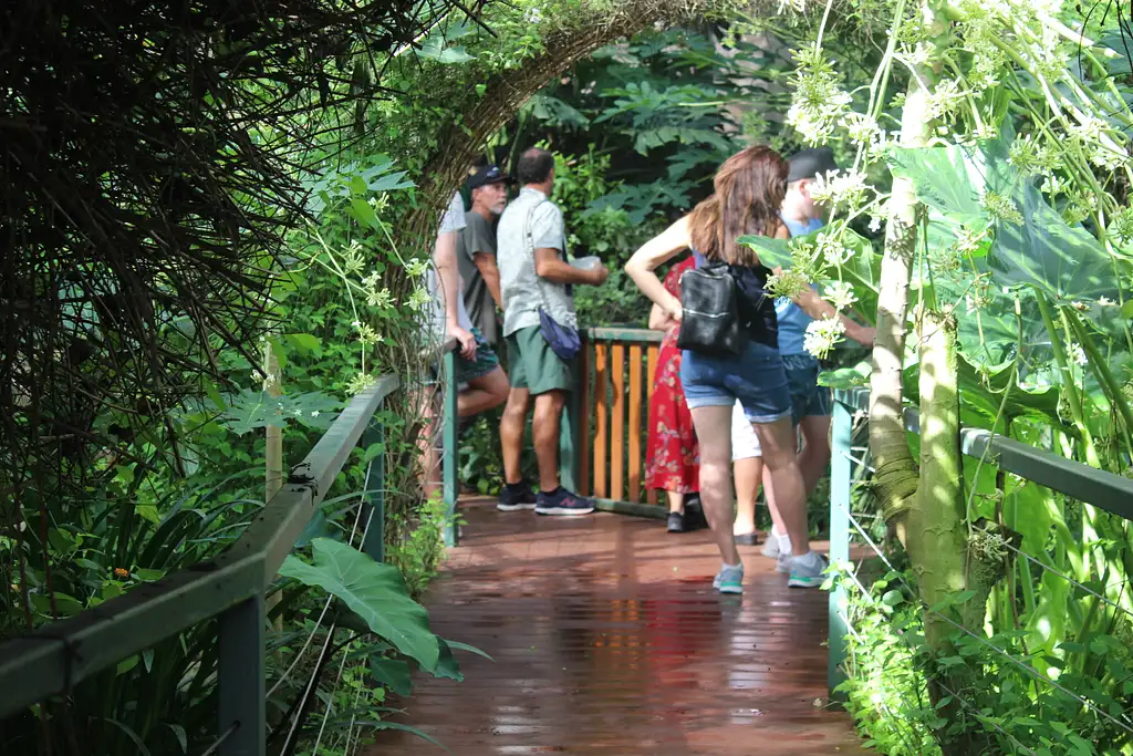 Litchfield Park Adventure with Jumping Crocodile Cruise
