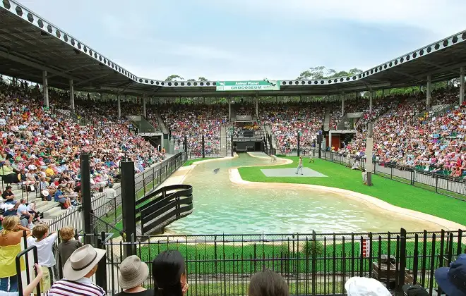 AUSTRALIA ZOO Transfer including Entry Ticket | Sunshine Coast