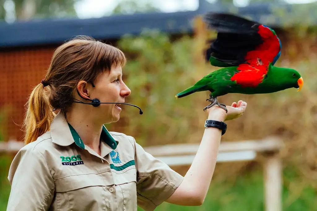 Healesville Wildlife Sanctuary Tour