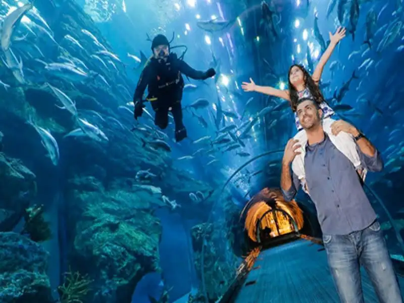 Burj Khalifa & Dubai Aquarium Package