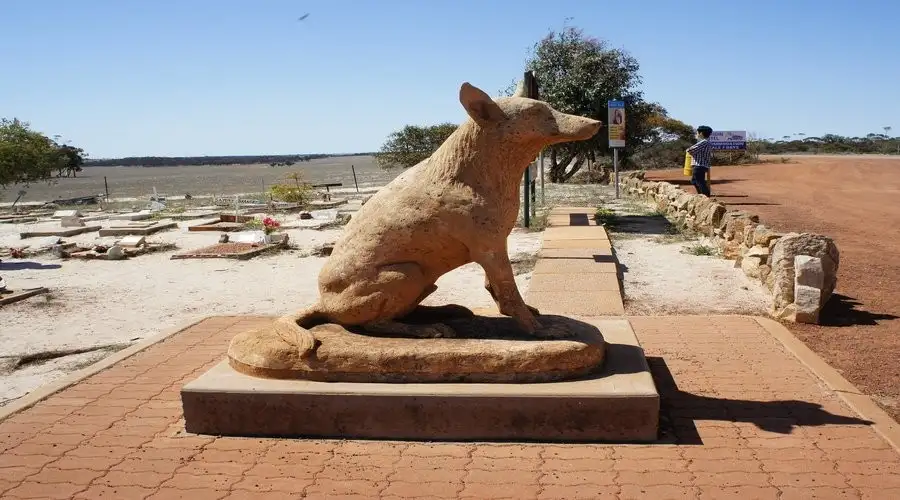 Full Day Wave Rock, York, Wildflowers and Aboriginal Culture