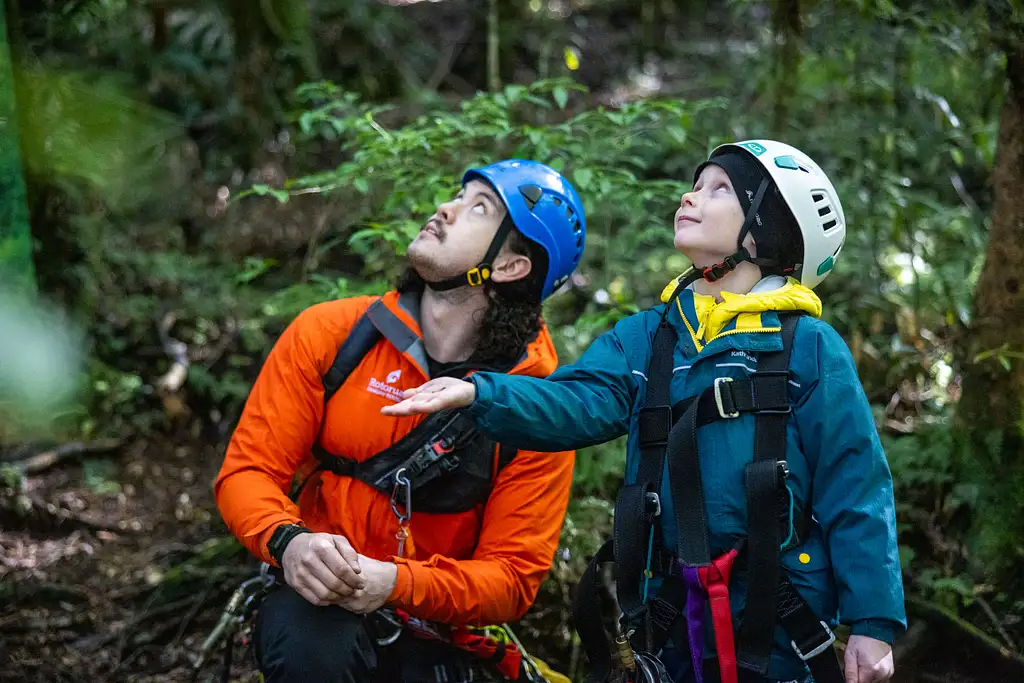 The Original Canopy Tour