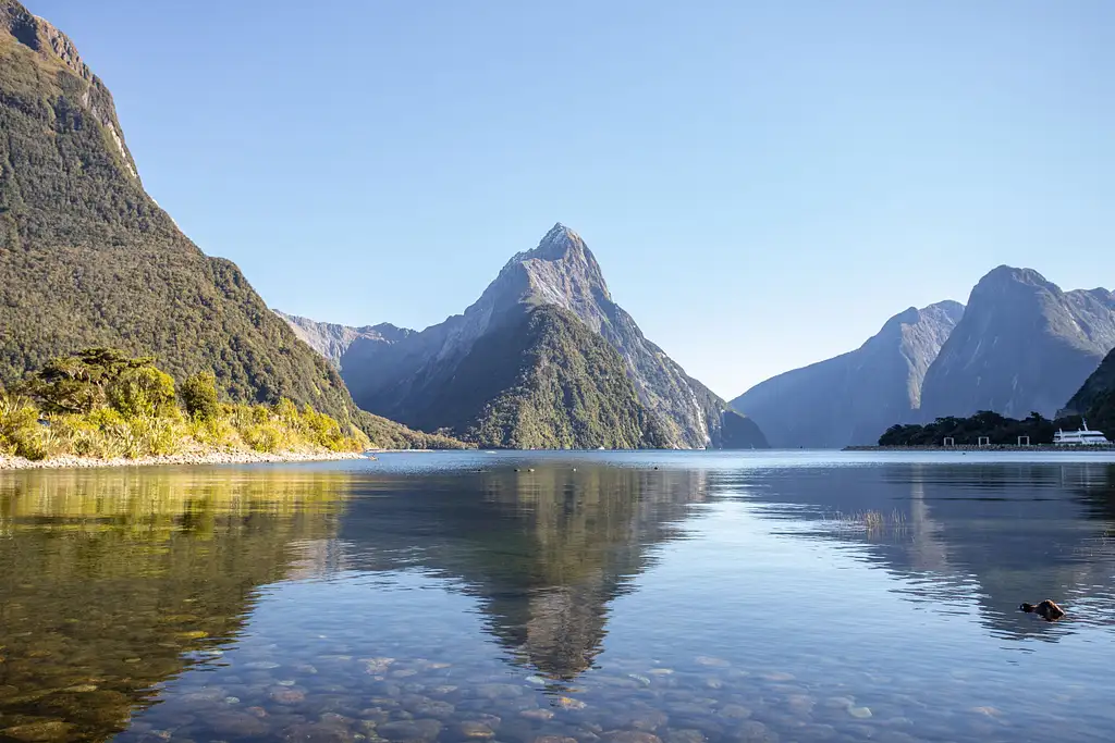 Milford Sound Glass Roof Scenic Tour with Cruise & Helicopter Flight
