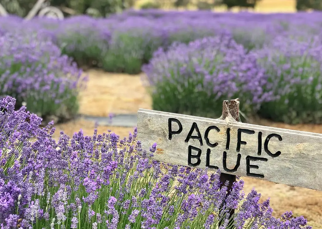Kangaroo Island Half Day Tasting Tour | From Kingscote
