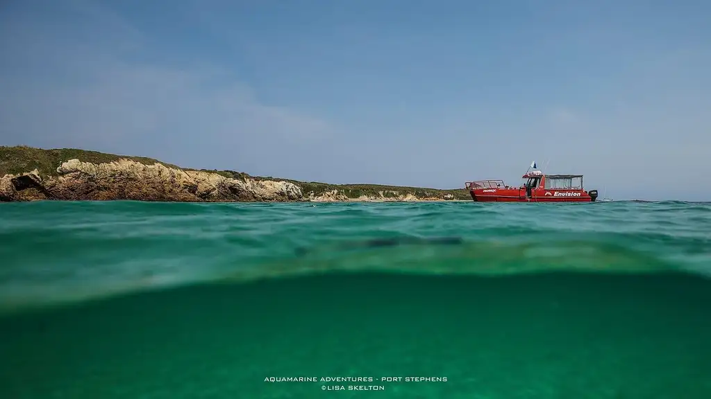 Port Stephens Island Snorkelling Adventure