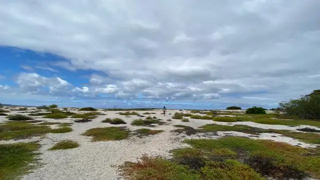 10 Day Galapagos Islands Cruise – East, Central & West Islands