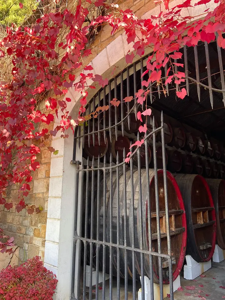 Barossa Valley Winery with Scenic Flight – Chateau Yaldara