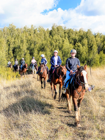 Hunter Valley Bushland Trail Horse Ride Deal
