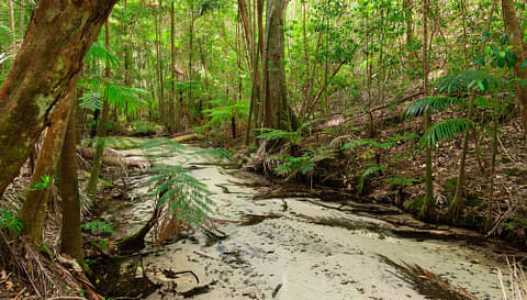 Sunshine Coast Tours