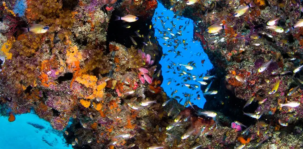 The Muiron Islands Snorkel Adventure | Departing Exmouth