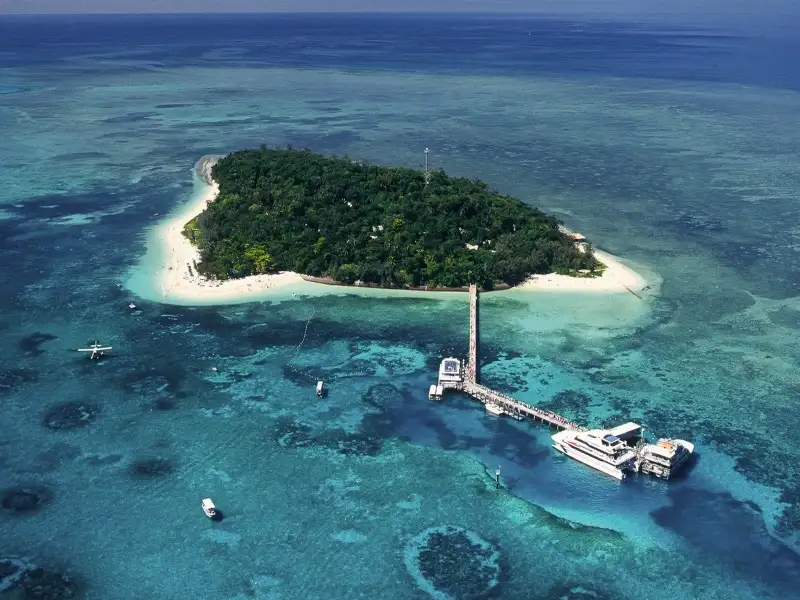 Silverswift Cruise & Introductory Diving