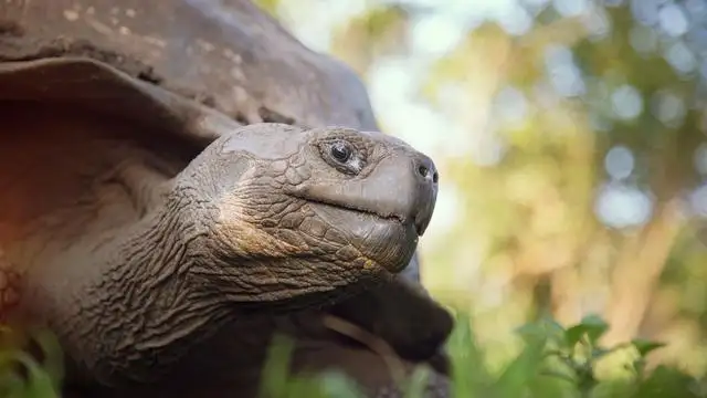 10 Day Galapagos Islands Cruise – East, Central & West Islands