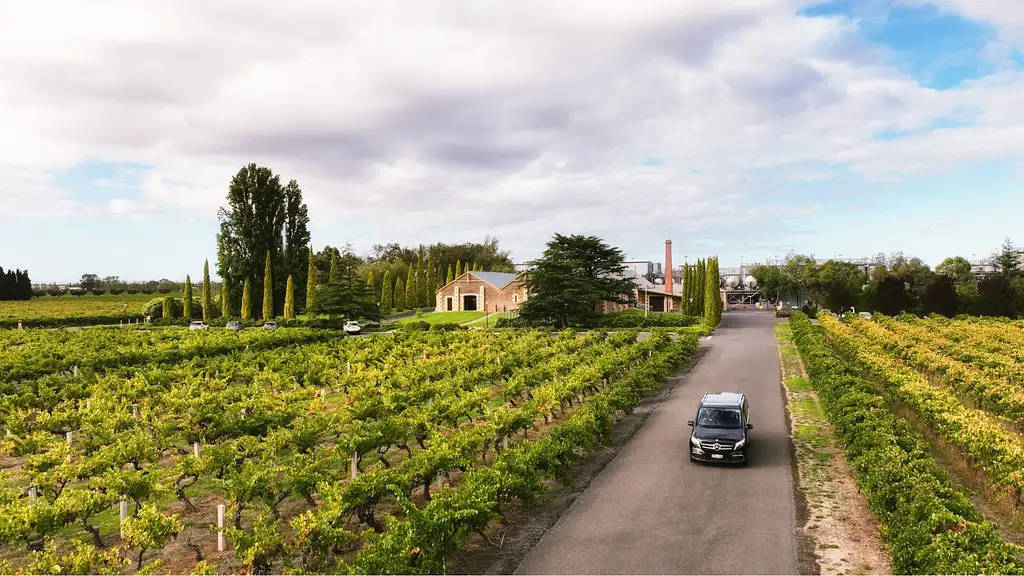 Immerse Yourself in Coonawarra Day Tour