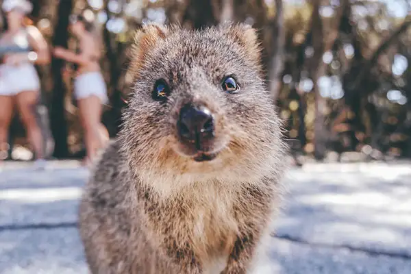 Perth Gap Year 7 Day Group Adventure