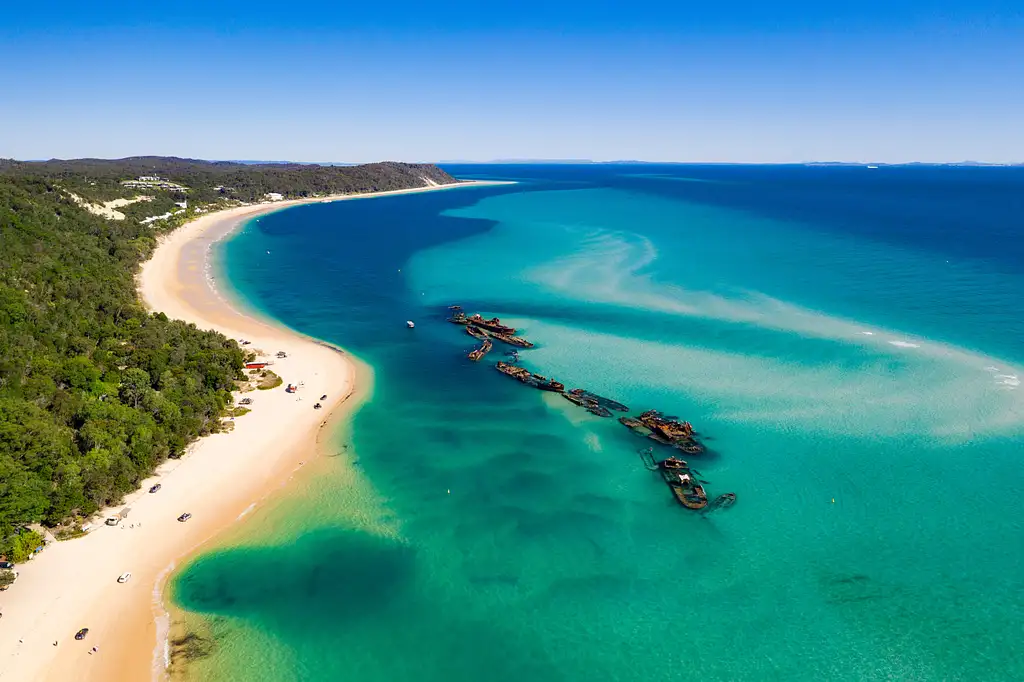 Moreton Island Dolphin & Tangalooma Wrecks Day Tour