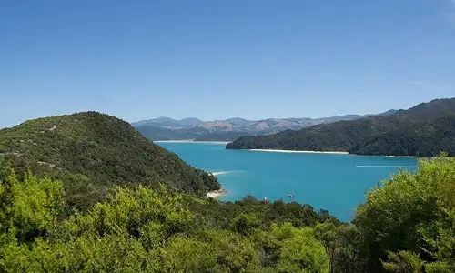 Nelson