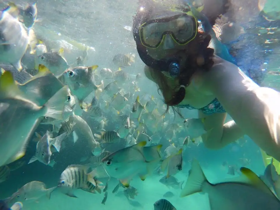 Moreton Island Snorkel & 4WD Day Trip from Brisbane