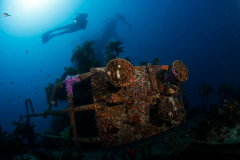 Canterbury dive deals