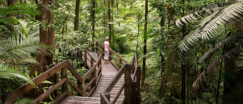 Cairns