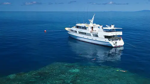 Vessel4.jpg