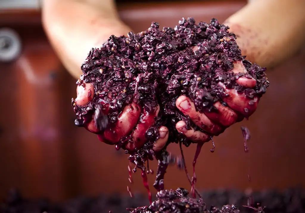 Yarra Valley Wine Grazing Tour | From Melbourne