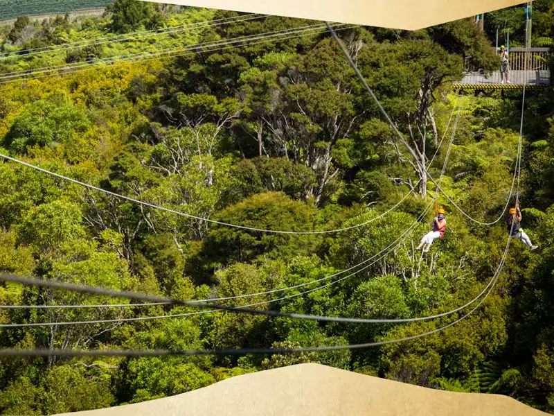 Waiheke EcoZip & Wine Tour
