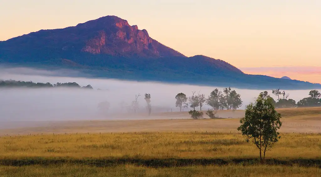 Scenic Rim - Camel Farm Experience | Barmy Army Experience