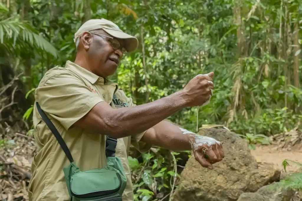Ngadiku Dreamtime Walk | Mossman Gorge + Daintree Croc Cruise