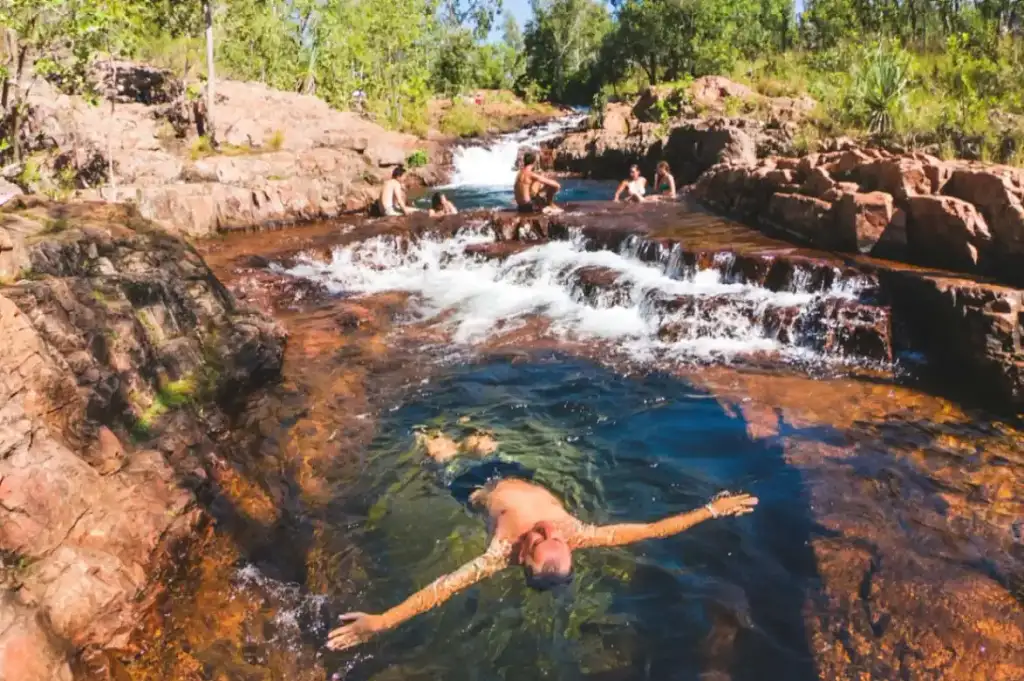 Litchfield National Park Tour | From Darwin (with Croc Cruise option)  BDTNT20DAY