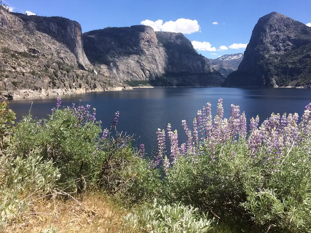 Yosemite Explorer Package