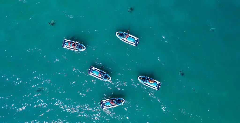 Airlie Adventure Jetski Tour