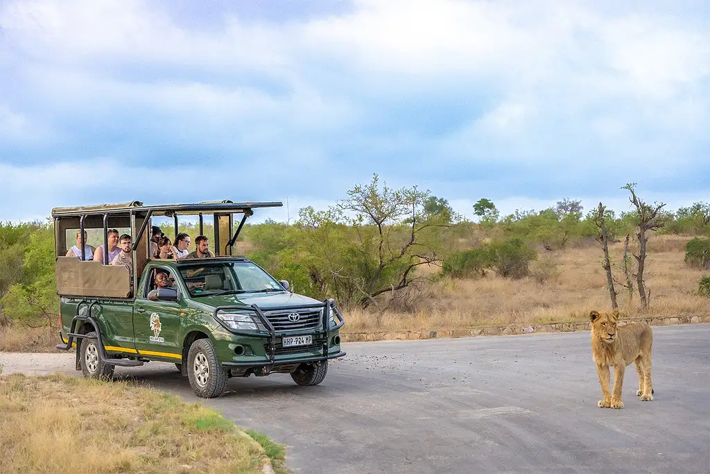 12-day South Africa Adventure Johannesburg to Cape Town | Intro Travel