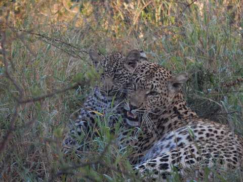 South Africa