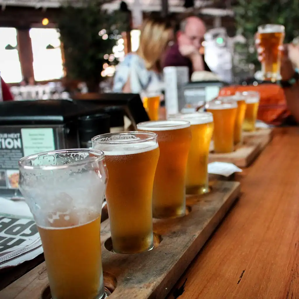 Sydney Brewery Tour | Barmy Army Exclusive