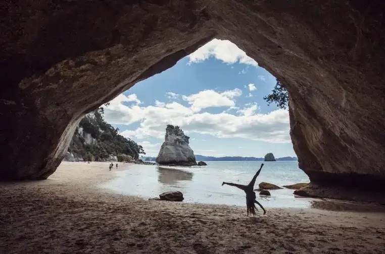 'Kea' Bus Pass | Wellington to Auckland | Kiwi Experience