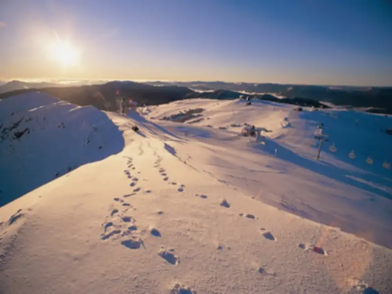 Mount Buller Snow Tour - 1 Day