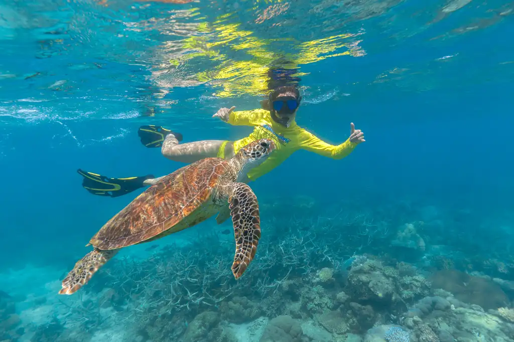 Ocean Safari Great Barrier Reef Adventure Afternoon Tour (July - Oct only)