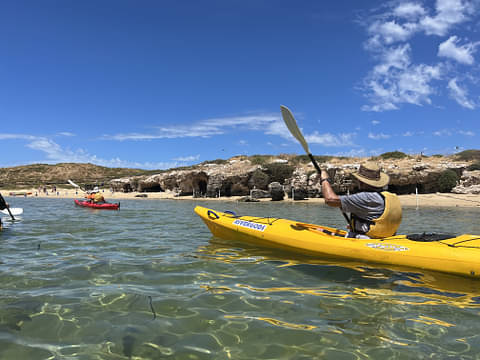 seal and penguin kayak day tour