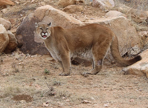 arizona keepers of the wild tours